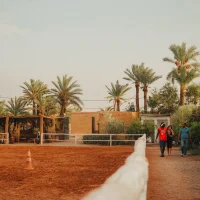 IMG_1559 IMG_1559